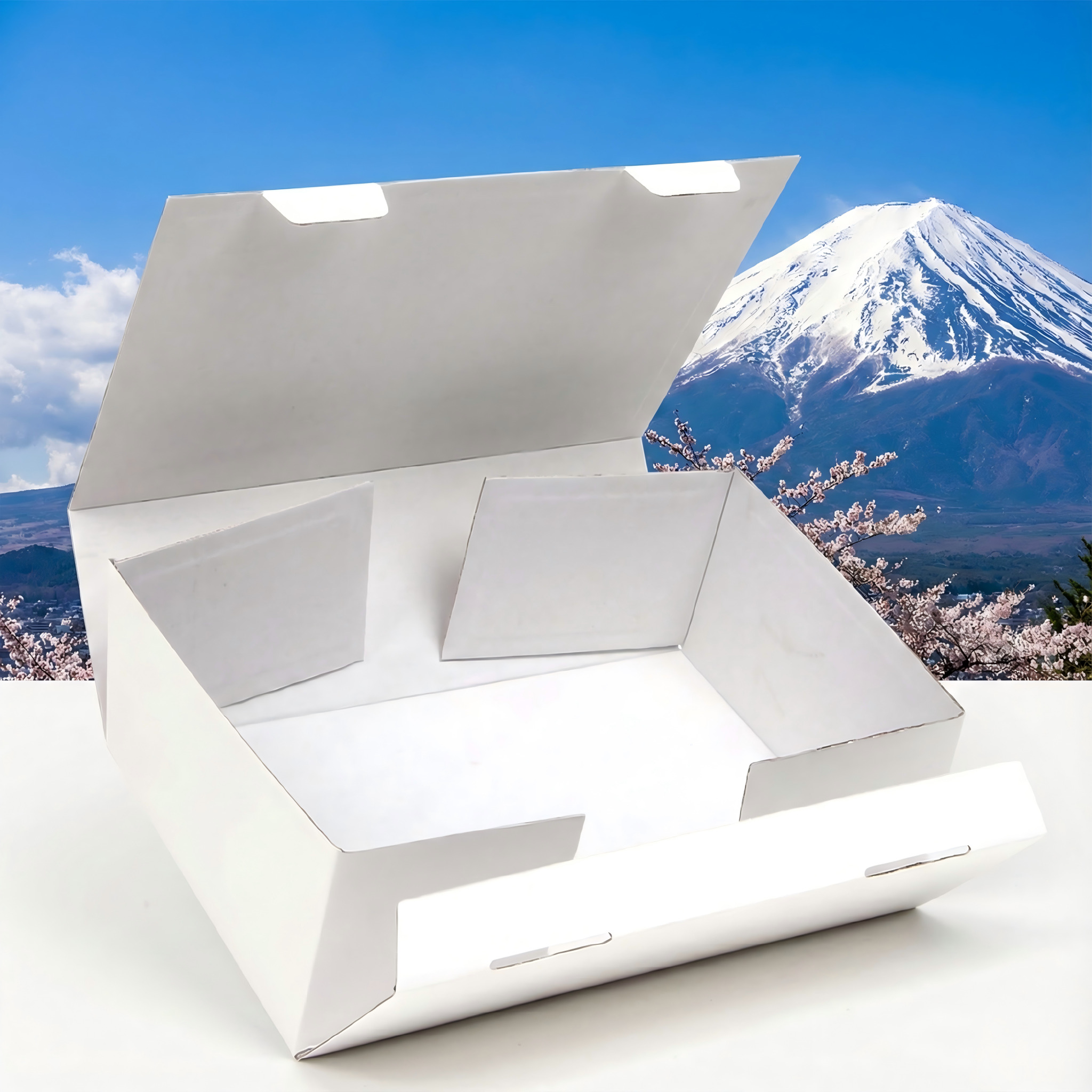 Self Locking Corrugated Folder Box