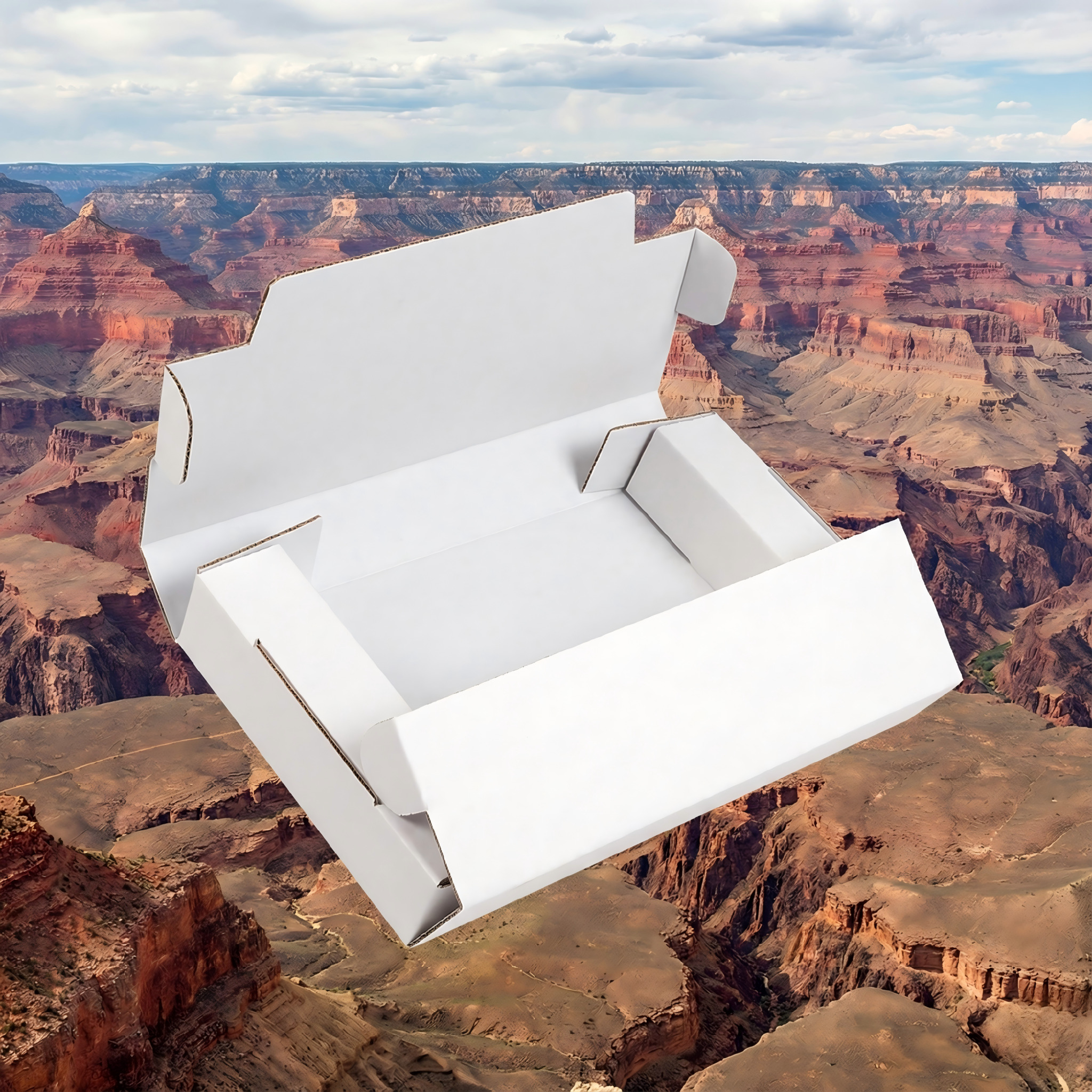 Corrugated Book Wrap Mailers